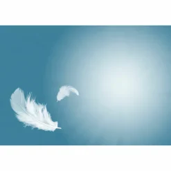 Dr. Swaab Verzorgende Aambeiendoekjes 25 stuks