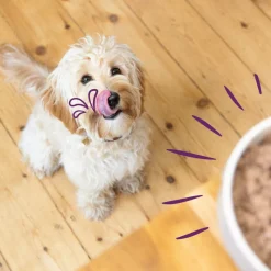 Edgard & Cooper Hondenvoer Multipack Kip - Wild - Lam 6 x 100 gr