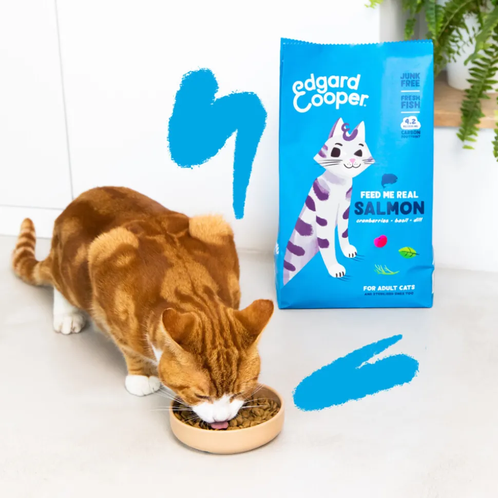 Edgard & Cooper Kattenvoer Adult Zalm 325 gr