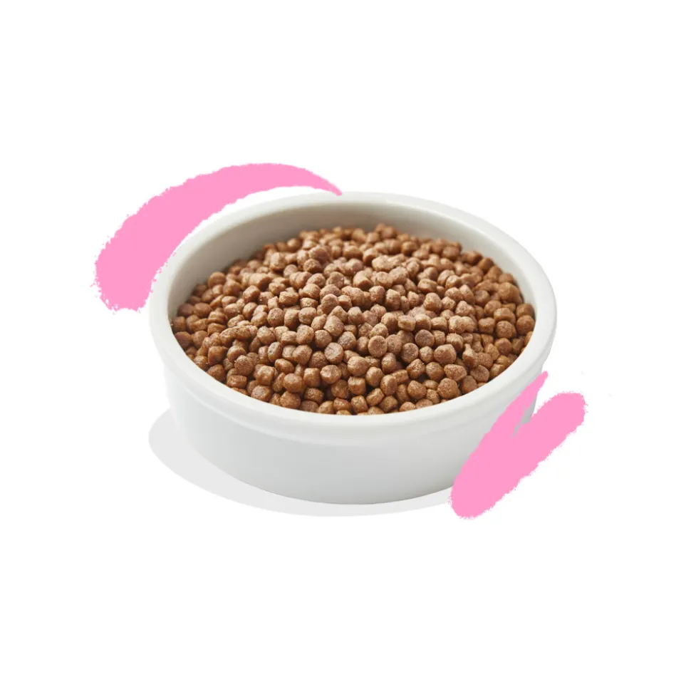 Edgard & Cooper Kattenvoer Kitten Eend - Kip 2 kg