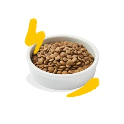 Edgard & Cooper Kattenvoer Adult Kalkoen - Kip 2 kg