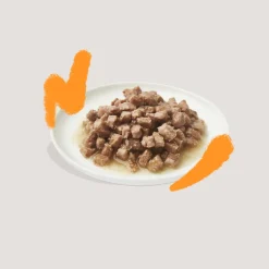 Edgard & Cooper Kattenvoer Adult Multipack 8 x 85 gr