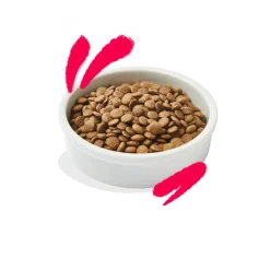 Edgard & Cooper Kattenvoer Senior Kip - Kalkoen 2 kg