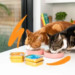 Edgard & Cooper Kattenvoer Adult Pate Zalm - Kip 85 gr