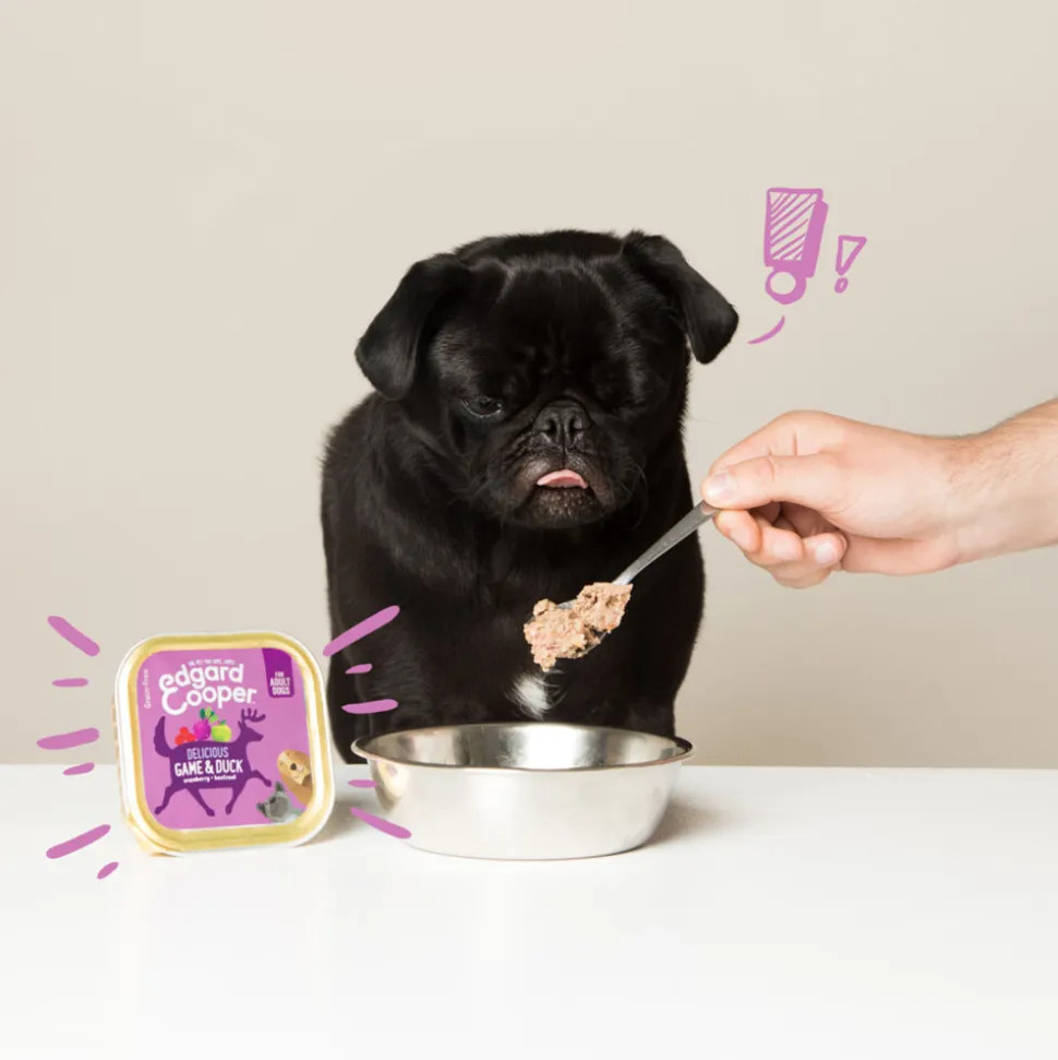 Edgard & Cooper Kuipje Vers Vlees Hondenvoer Wild - Eend 300 gr