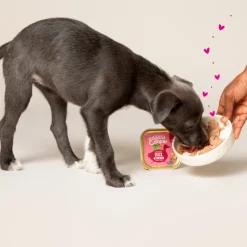 Edgard & Cooper Kuipje Vers Vlees Puppy Hondenvoer Eend - Kip 300 gr