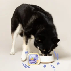 Edgard & Cooper Kuipje Vers Vlees Hondenvoer Rund - Eend 150 gr