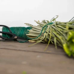 Esschert Design Geschenkset Touw En Schaar Groen