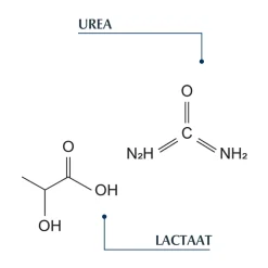 Eucerin DermoCapillaire Kalmerende Urea Milde Shampoo 250 ml