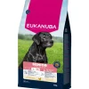 Eukanuba Life Care Dog Senior Large Hondenvoer Chicken 15 kg