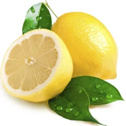 Frosch Badkamereiniger Lemon 500 ml