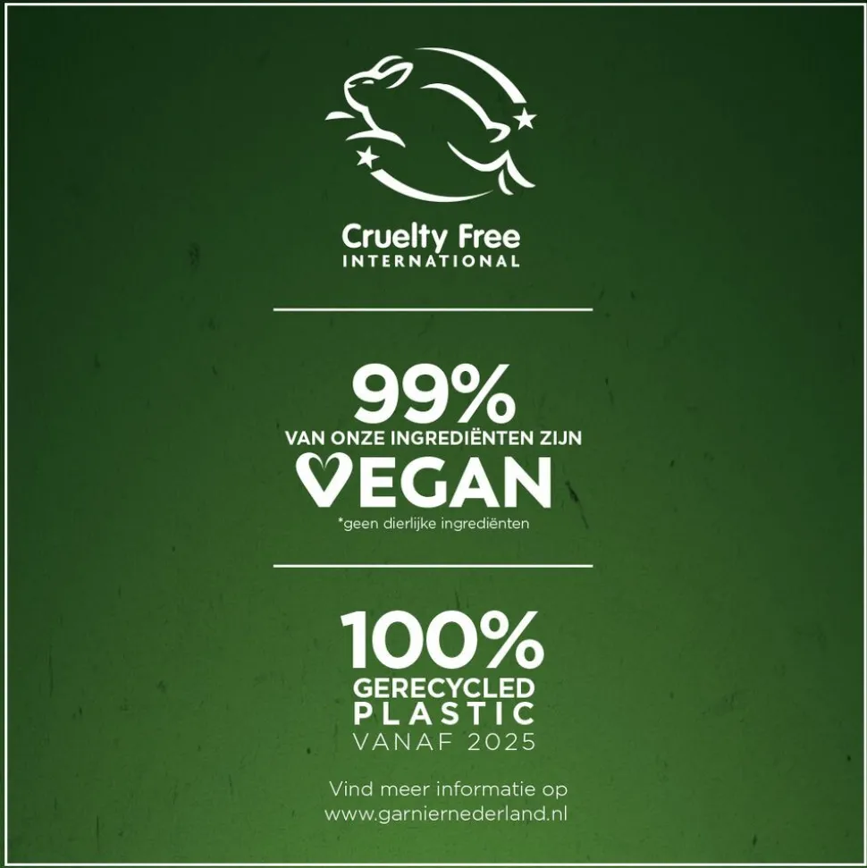 Garnier Loving Blends Gember Boost Conditioner 250 ml