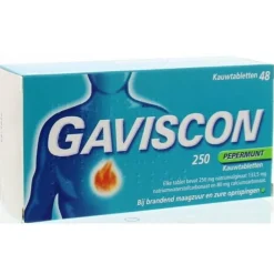 Gaviscon Gaviscon 250 mg Pepermunt Kauwtabletten 48 tabletten