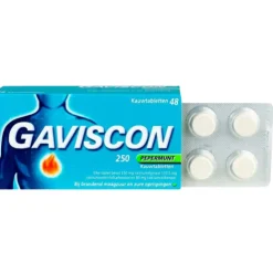 Gaviscon Gaviscon 250 mg Pepermunt Kauwtabletten 48 tabletten