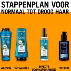 Gliss Night Elixer Overnight Moisture 100 ml