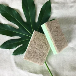 Greenminds Schuursponzen 2 stuks