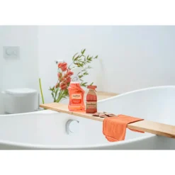 HappySoaps Cleaning Tabs Sanitairreiniger Royal Freshness 24 gr