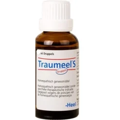 Heel Traumeel S Druppels 100 ml