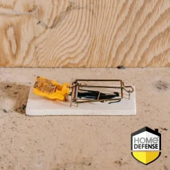 Home Defense Muizenval Classic 2 stuks