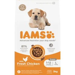 IAMS Dog Puppy - Junior Large Kip 3 kg