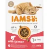 IAMS Kat Adult Zalm 800 gr