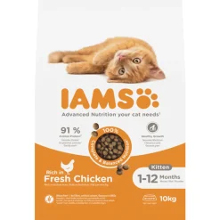 IAMS Kat Kitten/Junior Kip 10 kg