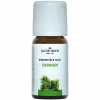 Jacob Hooy Dennen Olie 10 ml