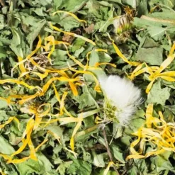 JR Farm Paardenbloemen 100 gr