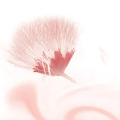 Kneipp Douche Foam Silky Secret 200 ml