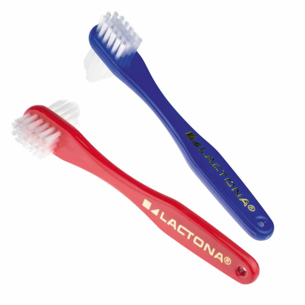 Lactona Protheseborstel