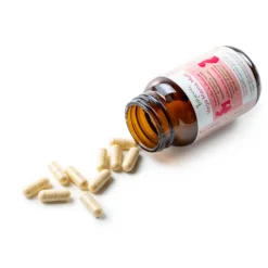 Laveen Mama Multi Vegan 30 stuks