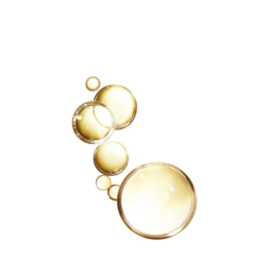 L'Oréal Elvive Extraordinary Oil Haarolie 100 ml