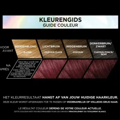 L'Oréal Preference Vivids Permanente Haarkleuring 5.260 Violet