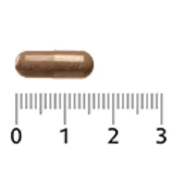 Lucovitaal Astaxanthine 4 mg 30 capsules