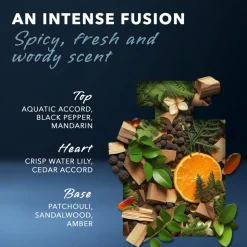 Mexx Black for Men Eau de Toilette 50 ml