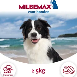 Milbemax Ontworming Tabletten Hond 5 - 75 kg 2 tabletten