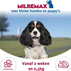Milbemax Ontworming Tabletten Hond 0,5 - 10 kg 2 tabletten