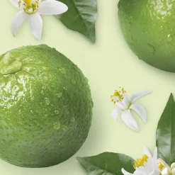 Mr. Propre Allesreiniger Bergamot 1 liter