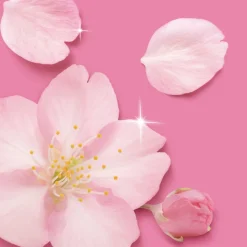 Mr. Propre Allesreiniger Spray Kersenbloesem 800 ml