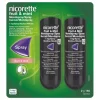 Nicorette Mondspray Fruit & Mint 1mg Duo 2 stuks