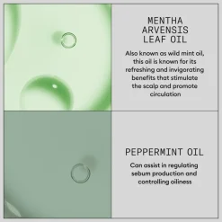 Nioxin Hair Booster Serum 100 ml