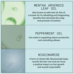 Nioxin Scalp Recovery Kit 3 stuks