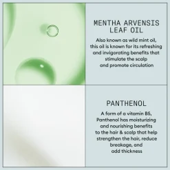 Nioxin Strong Hold Haarspray 300 ml