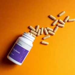 Nutribites Nachtrust 60 capsules