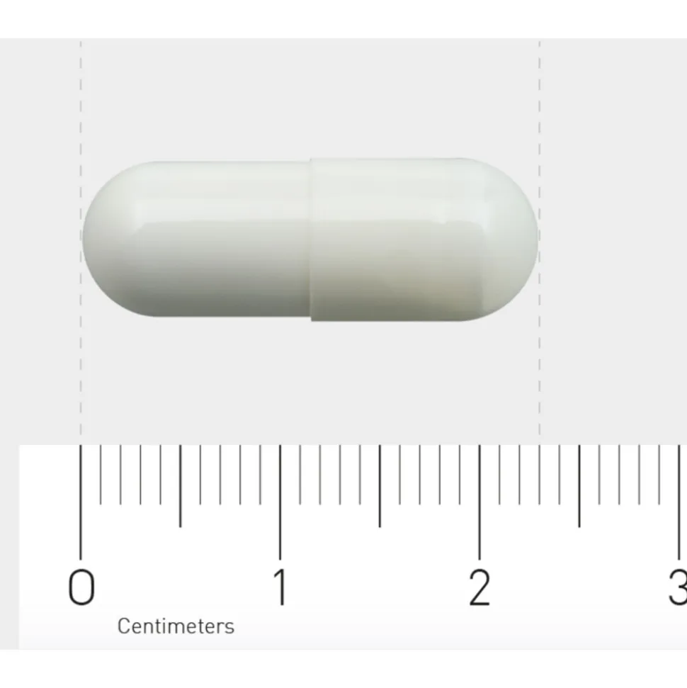 Orthica L-Glutamine-500 60 capsules