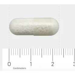 Orthica L-Lysine-500 90 capsules