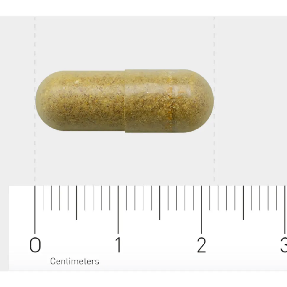 Orthica Multi Probiotica 60 capsules
