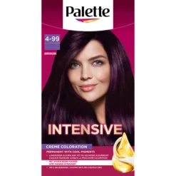 Palette Intensive Creme Haarkleuring 4-99 Aubergine