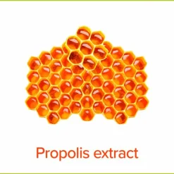 Palmolive Handzeep Hygiëne Plus Family 300 ml