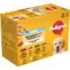 Pedigree Junior Hondenvoer in Gelei Mix Selectie Maaltijdzakjes Multipack 12x100 gr